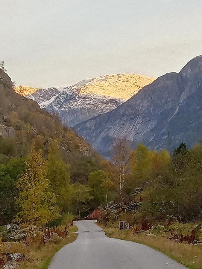 An Authentic Experience In Picturesque Eidfjord Villa Kültér fotó